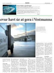 Síða 21