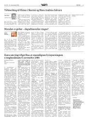 Síða 11