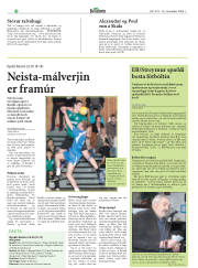 Síða 24