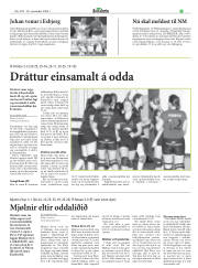 Síða 15