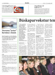 Síða 20
