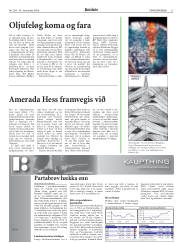 Síða 27