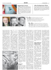 Síða 31