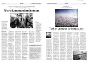Síða 12