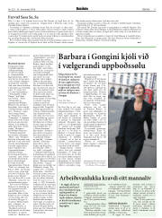 Síða 17