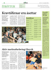Síða 20