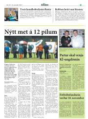 Síða 21