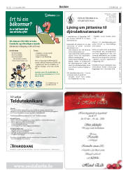 Síða 28