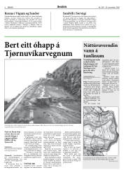 Síða 8