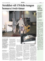 Síða 23