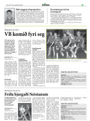 Síða 29