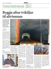 Síða 17