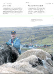 Síða 21