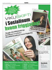 Síða 17