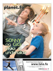 Síða 19