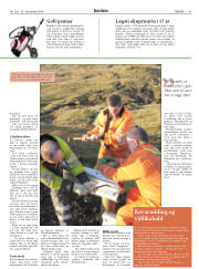 Síða 41