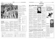 Síða 12