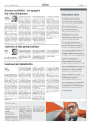 Síða 11