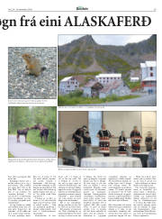 Síða 29