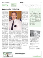 Síða 13