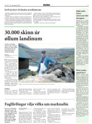 Síða 17