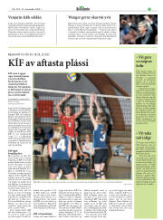 Síða 19
