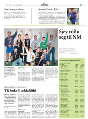 Síða 21