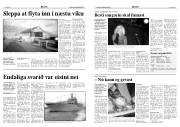 Síða 3