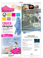 Síða 2