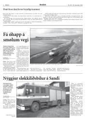 Síða 8