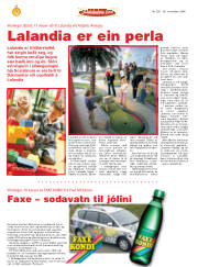 Síða 24