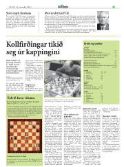 Síða 41