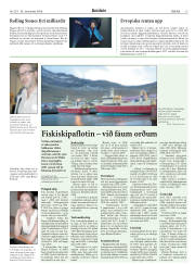Síða 13