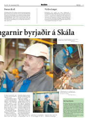 Síða 17