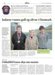 Síða 22