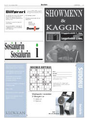 Síða 29