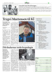 Síða 29