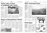 Síða 3
