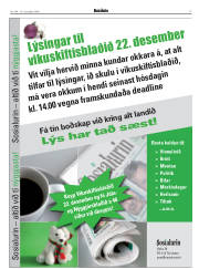 Síða 17