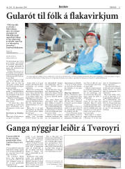 Síða 21