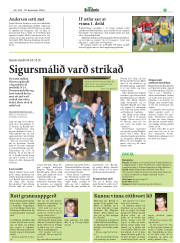 Síða 27