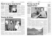 Síða 5