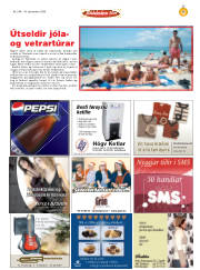 Síða 43