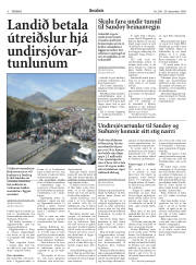 Síða 6