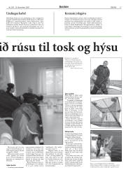 Síða 15