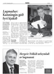 Síða 17