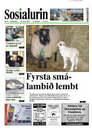Síða 1