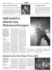Síða 17