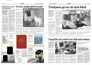 Síða 3