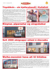 Síða 29